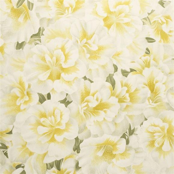 Обои John Derian Picture Book Variegated Azalea PJD6004/03